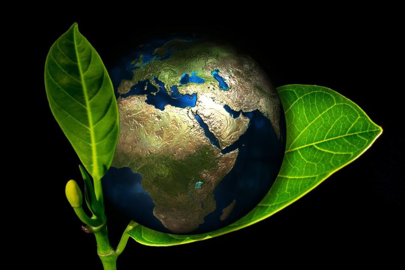 Kilkenny entrepreneurs encouraged to go green