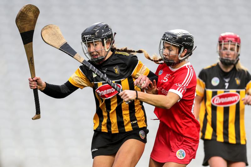 Determined Kilkenny weather Cork storm to reach All-Ireland camogie  final