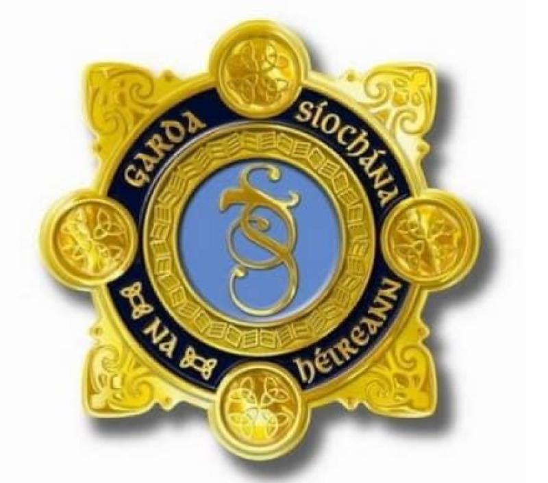 25 dogs and four horses seized during operation in Callan