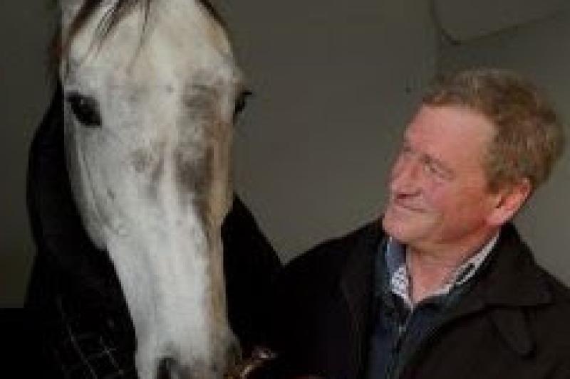 Tony Mullins among those honoured at annual Horse Racing Ireland Awards