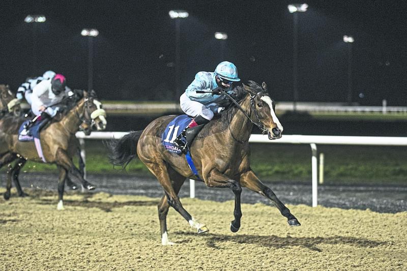 Scholastic breaks new ground with first Dundalk win for Joseph O&rsquo;Brien