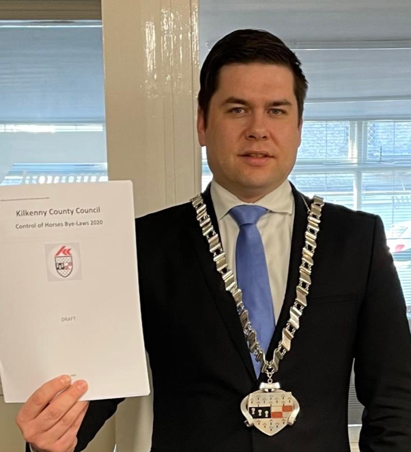 Horse free zones in Kilkenny don’t go far enough - Cathaoirleach 