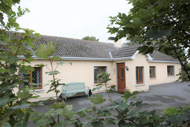 Kilkenny Property