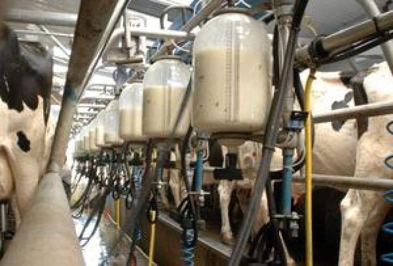 Tirlán April milk price 40.08 cpl to Kilkenny Farmers