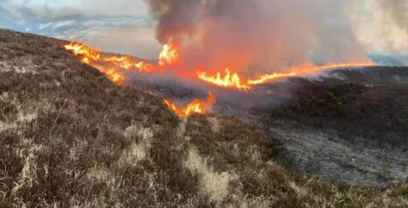 Warning issued to public against starting illegal fires