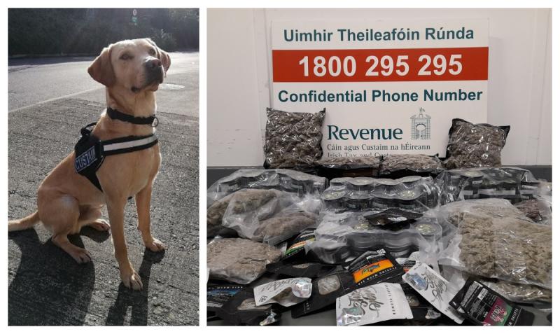 Dog sniffs out drugs destined for Laois in Dublin postal hub