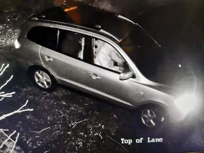 Gardai investigate attempted break in at dog rescue on Tipperary/Kilkenny border