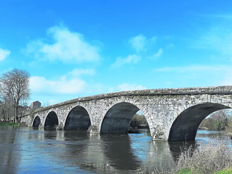 Prominent Kilkenny Families - The Mosse Family