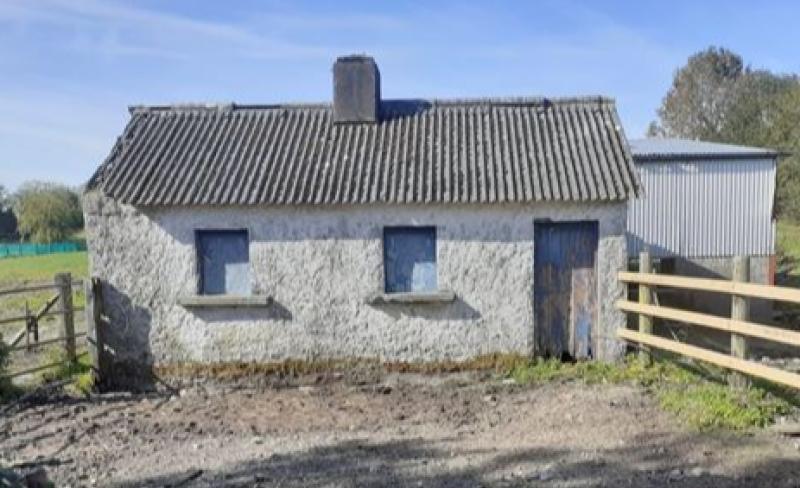 Derelict cottage on 7 acres for sale in Kildare 