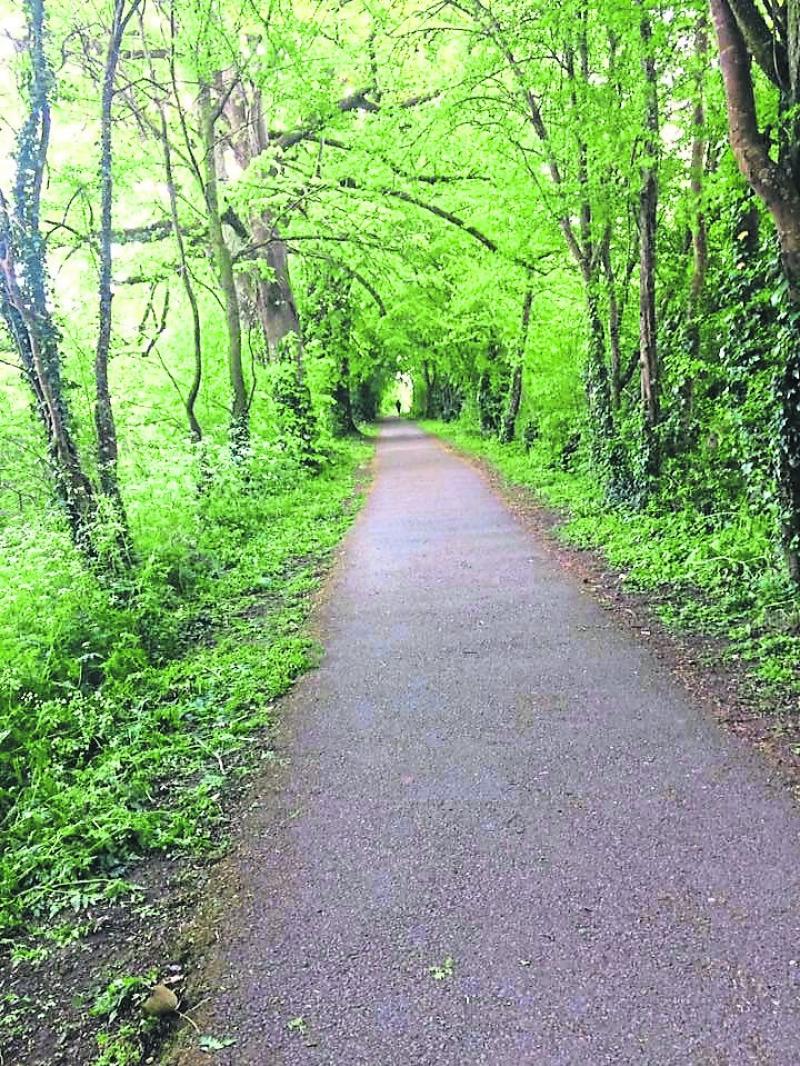 Kilkenny Lookback