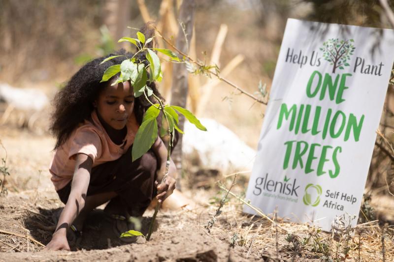 Charity hits million tree milestone thanks to support from county Kilkenny