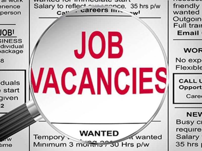 JOB ALERT: Horticulturists wanted in Laois, Kilkenny and Tipperary 