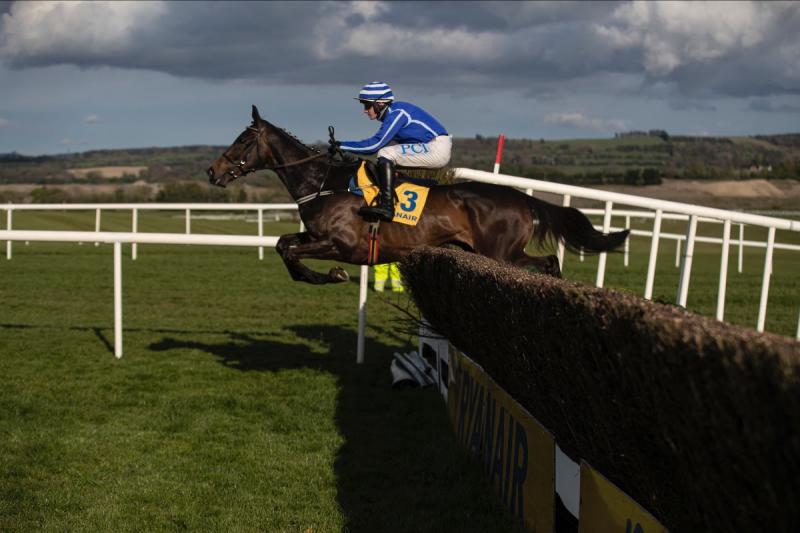 Electric Energumene delivers for champion-elect Townend and majestic Mullins 