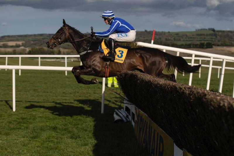 Energetic Energumene enters Hilly Way Chase reckoning  for Willie Mullins 