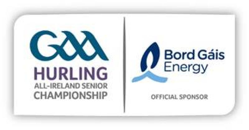 Bord Gáis Energy is searching for the most passionate hurling fans in Ireland to star in GAAGAABox 