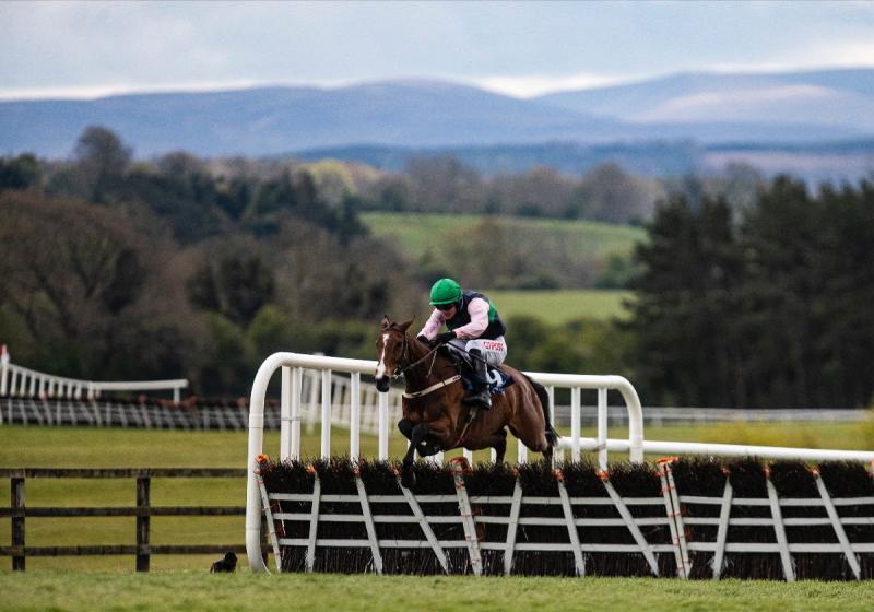 Ireland's champion Mullins storms to more Grade 1 glory and a record-breaking Punchestown
