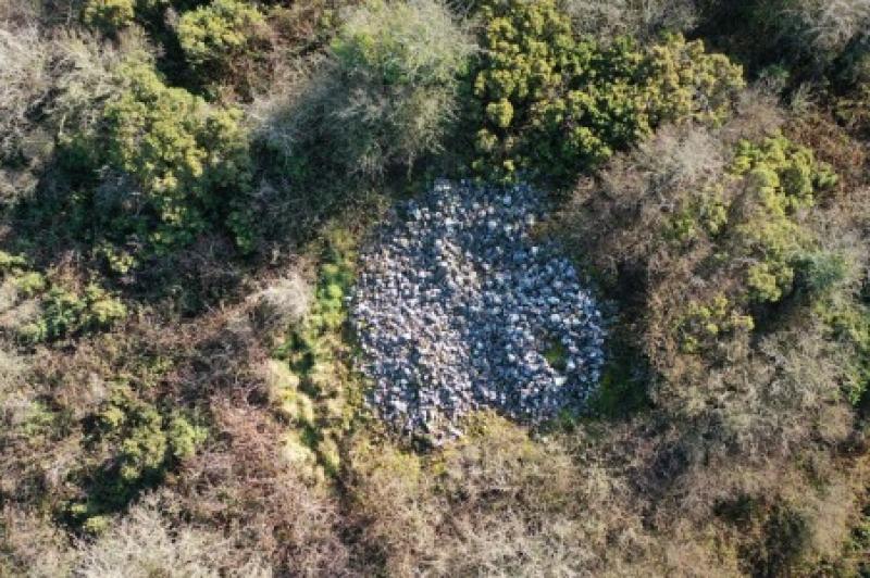 New cairn discovered in Laois 