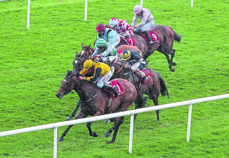 Foley and McCullagh are the masters of Gowran Park