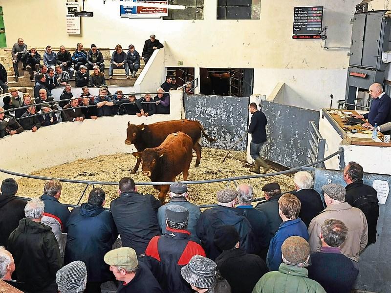 McConalogue praises 'resilience' of livestock mart staff as facemask rules come to an end