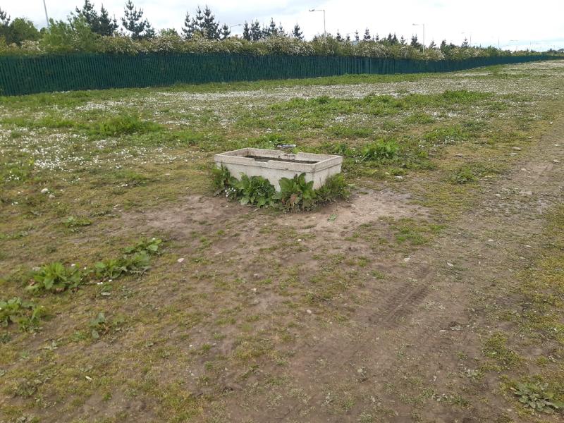 Horses removed from lands at Hebron by Kilkenny County Council