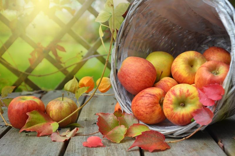 Kilkenny small food businesses  urged to apply for funding under the LEADER Food initiative