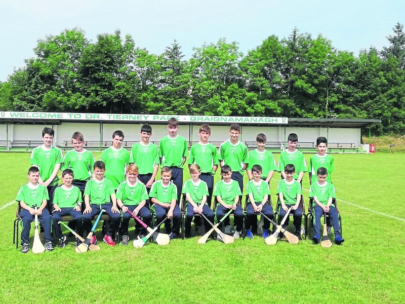 Minor Hurling Championships- Looking for a surprise? The Roinn C grade will deliver!