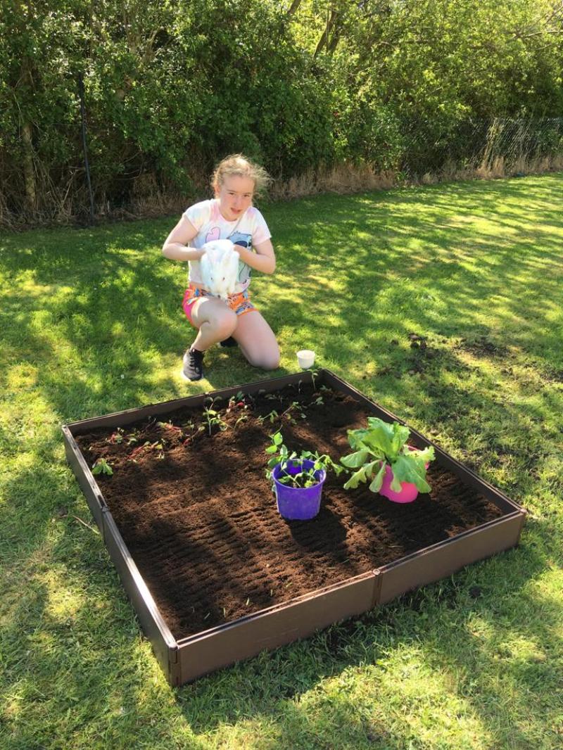 Grow it Forward initiative proves to be a huge success in Kilkenny