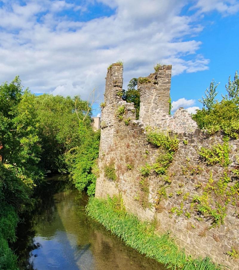 Hidden heritage gems in Kilkenny City to receive a new lease of life