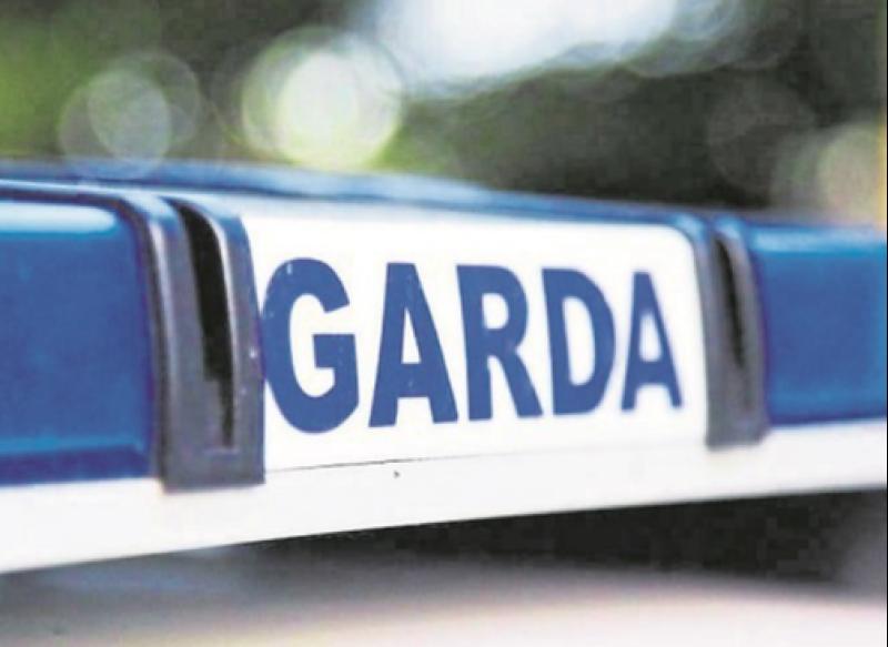 House and car vandalised in Kilkenny