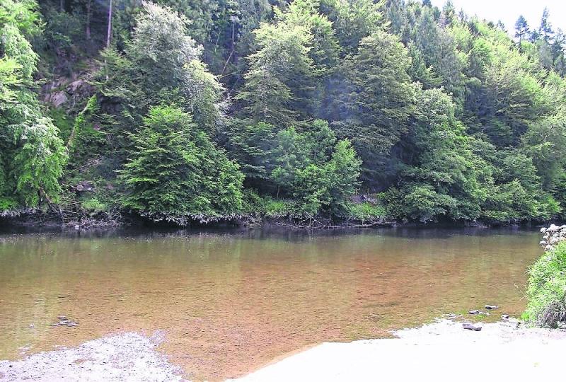 Sewage continuing to flow into river at popular Kilkenny swimming spot