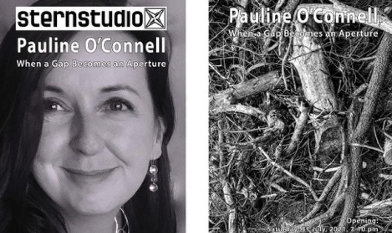 Kilkenny artist primed for solo exhibition in Austria