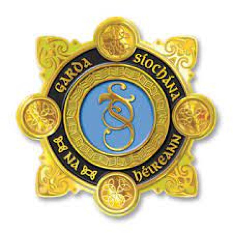 Gardaí appeal for assistance after attempted burglary at Kilkenny housing estate