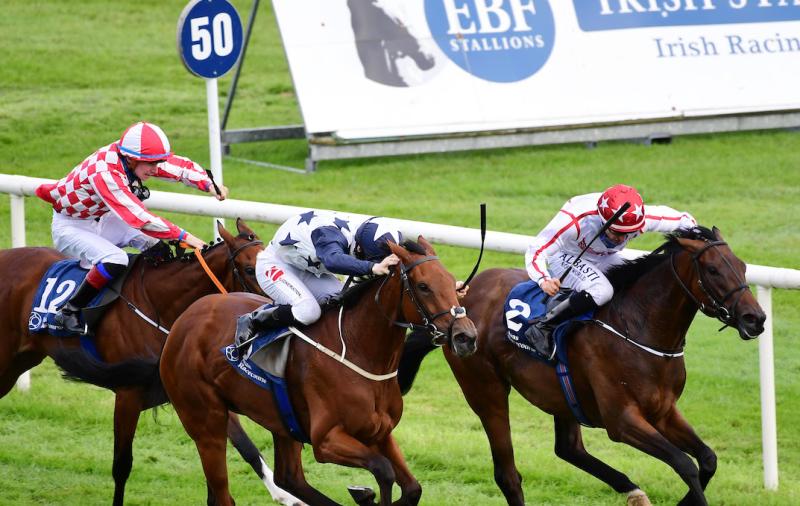 Harrington's hordes among 42 targeting &euro;120,000 pot in Irish EBF Auction Series Final