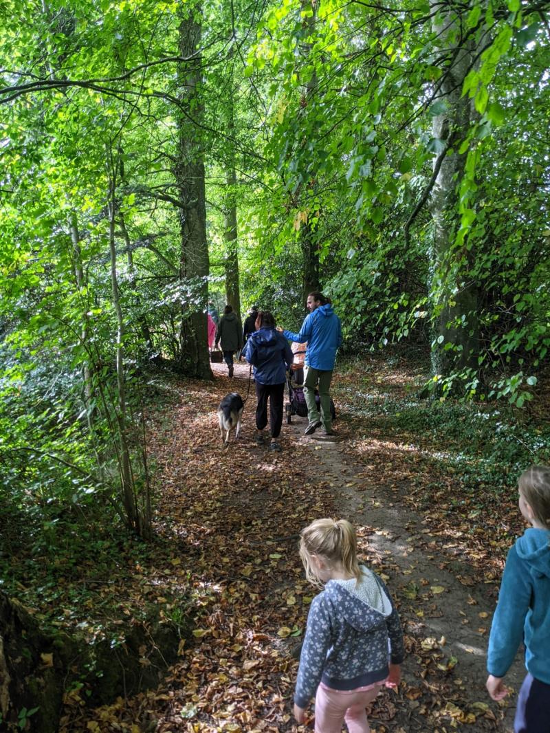 Acorn project in Freshford is saving the seeds to create new nurseries