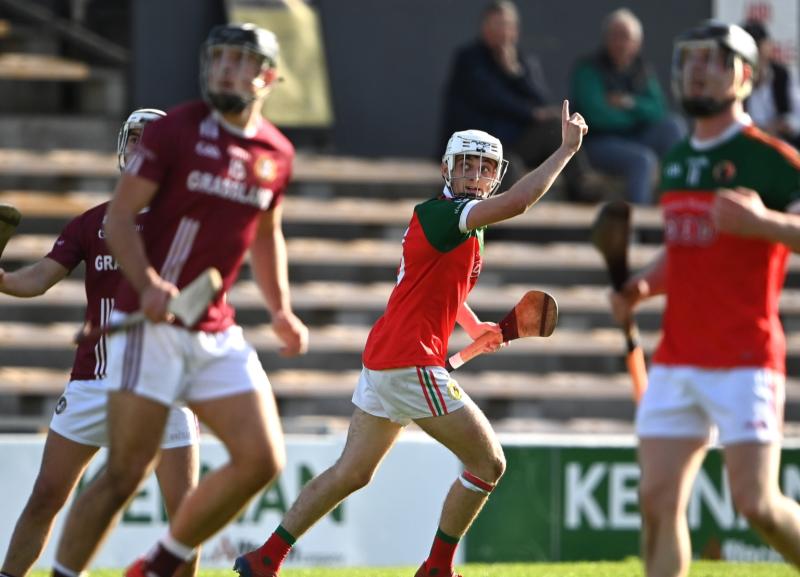 Shamrocks and James Stephens lock horns as draws for Kilkenny SHC, IHC and JHC are made