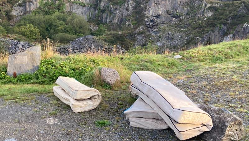 Mattresses dumped at scenic Kilkenny visitor attraction