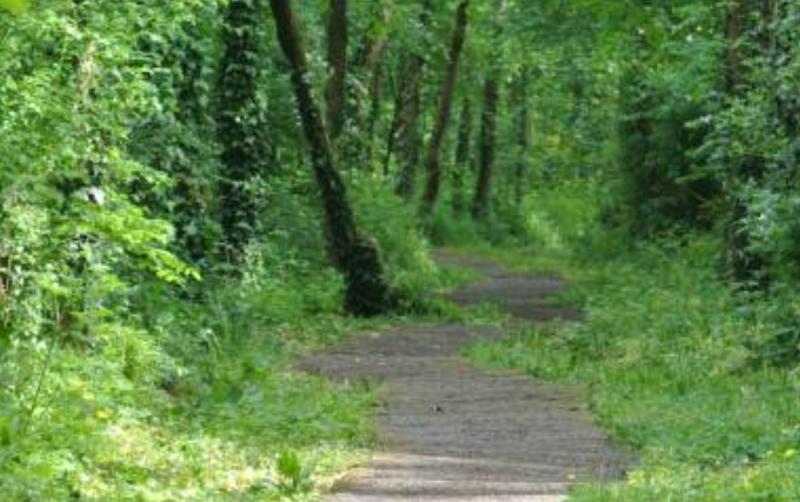 Local TD welcomes €100,000 funding for outdoor activity projects in Carlow