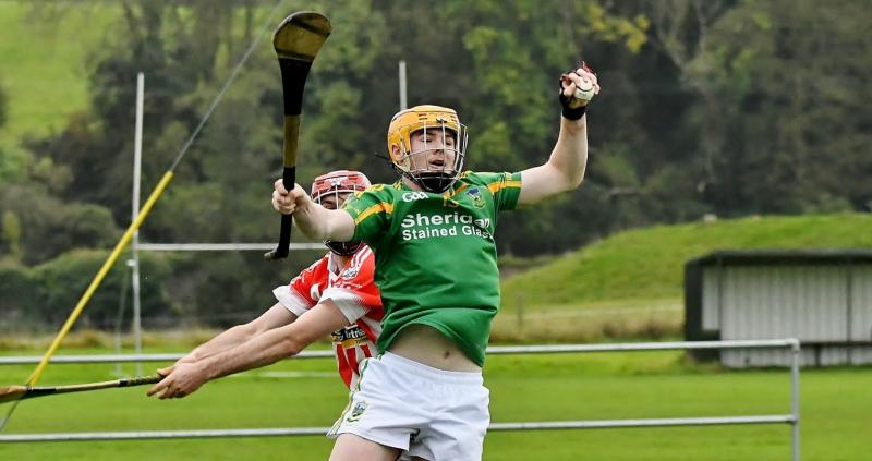 Kilkenny IHC- Sharp-eyed Walsh points Dunnamaggin towards safety net