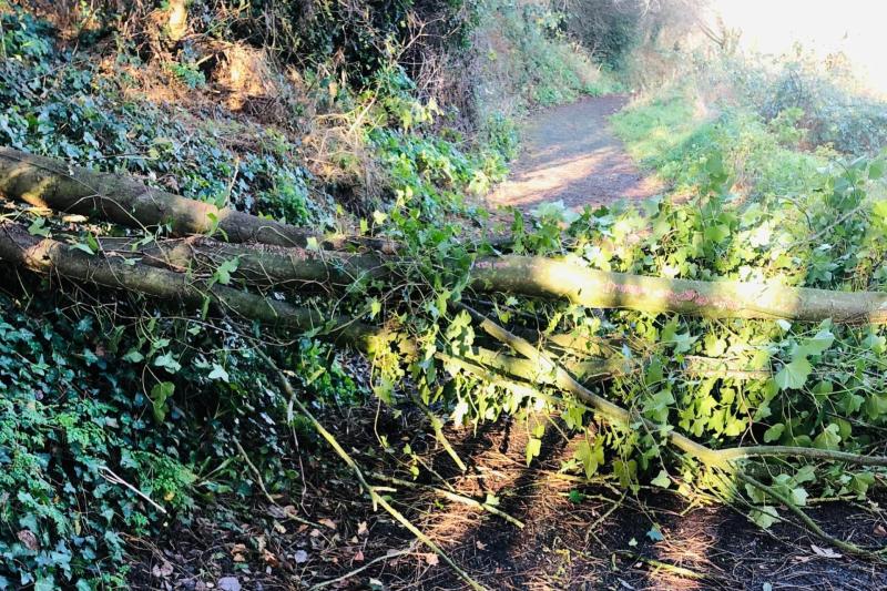 Storm Barra: Newpark Fen in Kilkenny remains inaccessible for some groups