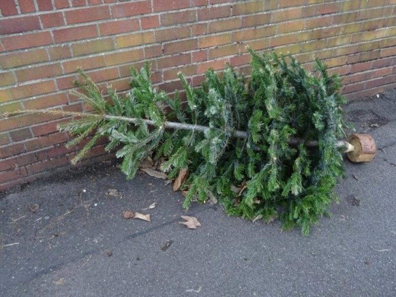 Where can I recycle my Christmas tree in Kilkenny?