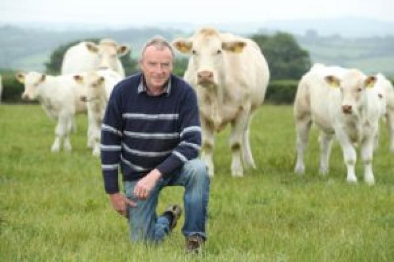 Kilkenny Kilkenny Kilkenny