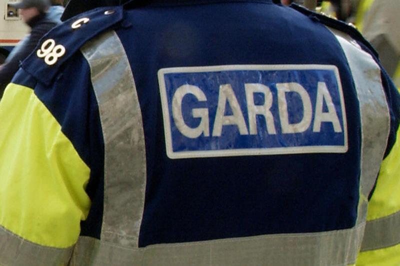Two men with Kilkenny connections join An Garda Síochána 