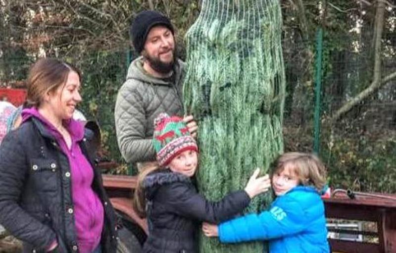 Ten tips for a sustainable Christmas in Kilkenny Kilkenny Live