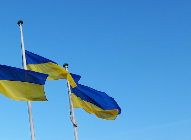 The reason why Ukraine families in Laois were moved on to Kilkenny