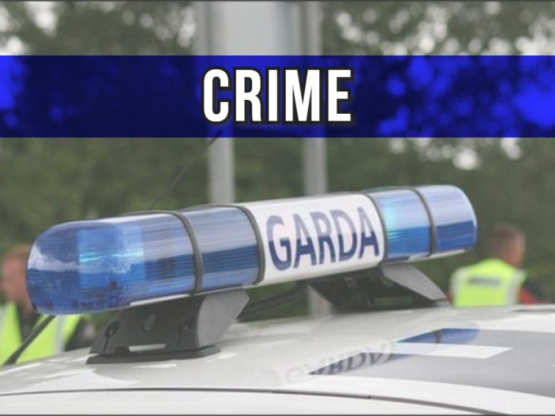 Opportunist criminals target North Kilkenny property