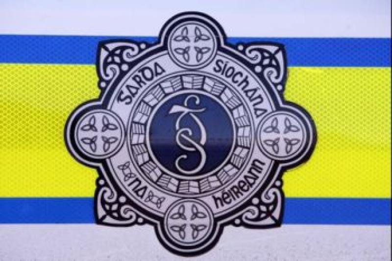 Gardaí investigate theft in Kilkenny