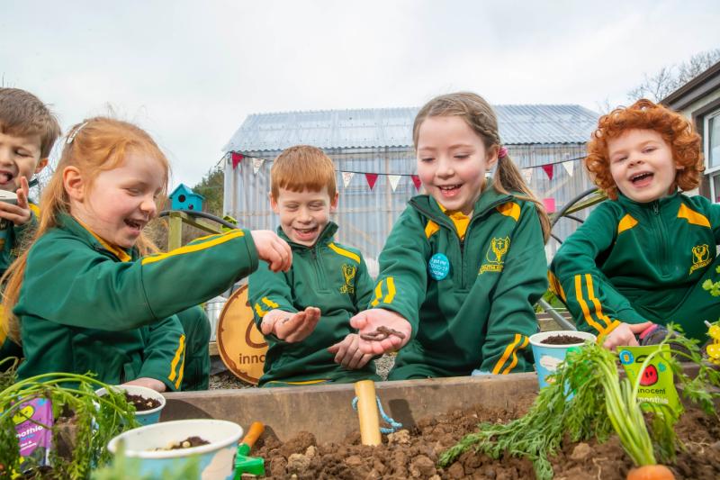 Free growing kits for classes in Kilkenny with The Big Grow