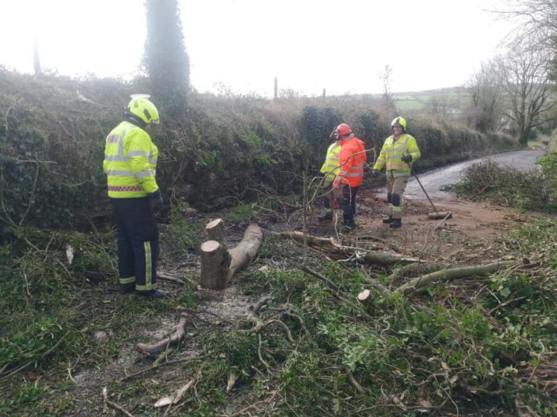 Storm Eunice: Kilkenny Fire Service 'playing a blinder' as they clear fallen trees 