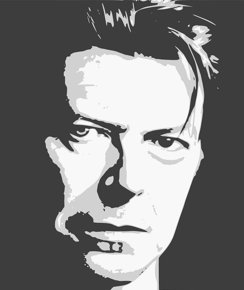 A Kilkenny celebration of the Starman - Bowie Day at Ryan’s