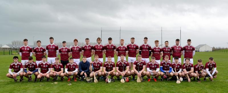 Michael Walsh and Mark Nolan react to Dicksboro's Under 21 Hurling Final victory